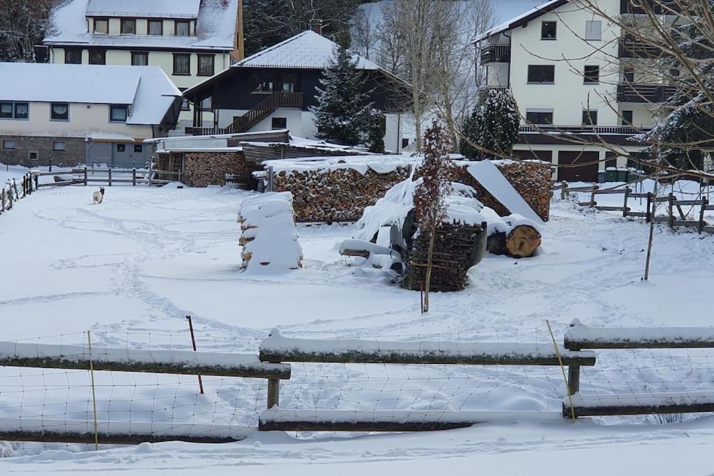 Black Forest Kuckucksnest Schönwalde 外观 照片