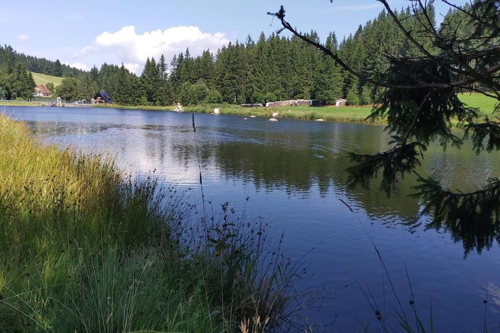 Black Forest Kuckucksnest Schönwalde 外观 照片