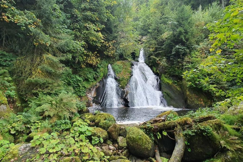 Black Forest Kuckucksnest Schönwalde 外观 照片